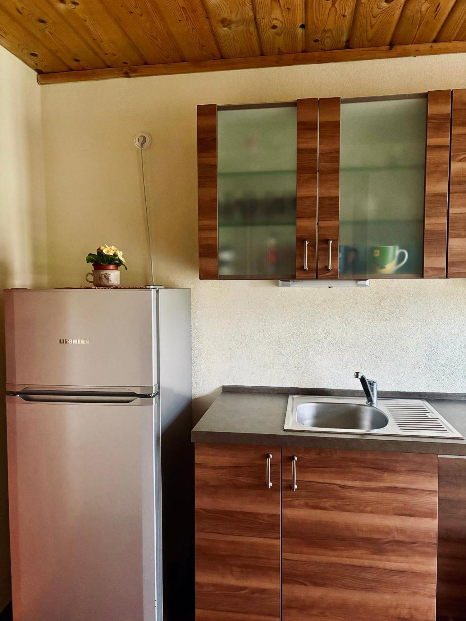 Apartmany Penzion Katerina Nadejkov المظهر الخارجي الصورة